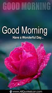 Check spelling or type a new query. Happy Sunday Pictures English Good Morning Images Best Wishes English Quotes Online Messages