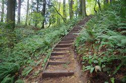 Tripadvisor has 1,188 reviews of powell butte hotels, attractions, and restaurants making it your best powell butte powell butte tourism and travel: Powell Butte Loop Hike Hiking In Portland Oregon And Washington