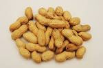 Monkey nut - , 