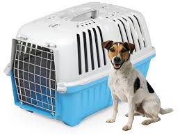 You might be able to work out arrangements to meet the breeder or shipper halfway. Transportation Of Animals Cargo Without An Accompanying By Plane Perevozka I Prodazha Domashnih Zhivotnyh