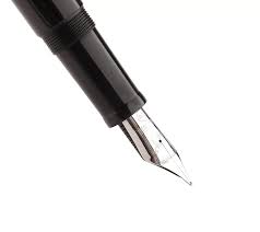 Image result for mammoth bone inlay fountain pen