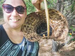 Hawkinsville&Pulaski County: Past, Present, Future