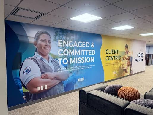 Wall Graphics & Wallpaper example 15