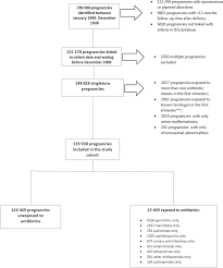 Figure 1 From Use Of Antibiotics During Pregnancy And The