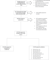 figure 1 from use of antibiotics during pregnancy and the