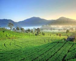 Image of Ranca Walini di pagi hari