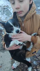 Heather Kirkland your ID is at circle K in Fayette found it in the parking  lot