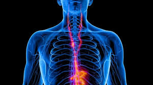 Vagus Nerve Stimulation Improves Severe Depression by 70%, Major US Trial Finds