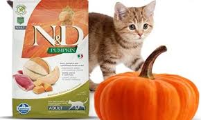 Nd Balkabakli Kedi Mamasi Yorum Inceleme Suzionline
