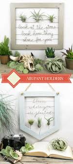 These Air Plant Holders With Quotes Are So Pretty Doesn T Hurt With The Coldplay Quote Either Ad Affiliat Air Plant Holder Plant Holders Plant Pot Design