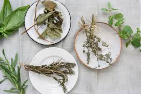 Maybe you would like to learn more about one of these? How To Dry And Store Your Fresh Garden Herbs