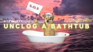 Daily mail (uk), by ariel zilber original article. Moen Style Kitchen Faucet Repair And Rebuild Youtube