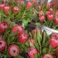 Junee Rotary Farmers Markets event in Junee NSW