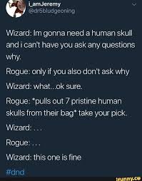 Wizard Im Gonna Need A Human Skull And I Can T Have You Ask Any Questions Why Rogue Only If You Also Don T Ask Why Wizard What Ok Sure Rogue Pulls Out
