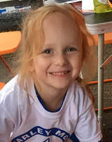 TEAM & RIDER OVERVIEW