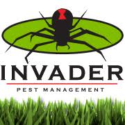 Richmond, va 21 pest control companies near you. Loyal Termite And Pest Control Reviews