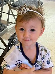 Bostwick Blueberry Festival Activities and Treats