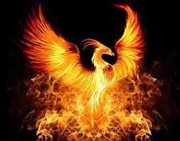 Welcome to summertime in phoenix! Nine Paths Phoenix Sabre Cultivation Chat Group Wiki Fandom