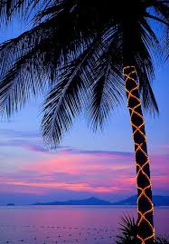 Sunset At Koh Samui Thailand By Element Photography Beach Beach Christmas Palm Trees