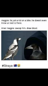 Pin By Min Wal On Australia Australian Memes Aussie Tumblr Aussie Memes