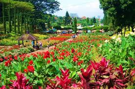 √ tahapan berjangka bca : Profil Taman Bunga Cihideung Bandung