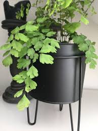 Pflanzenhocker Ubertopf Metall Blumentopf Neu Vintage Industrial Natur Ebay Pflanzenhocker Blumentopf Pflanzen