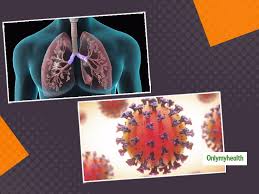 Can running help clear lungs? Covid 19 Damaged Lungs Can Repair Themselves Claims Austria S Research