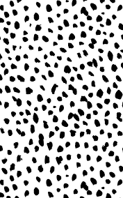 Find images of white pattern. Black White Dalmatian Print Wallpaper Mural Hovia Uk Black And White Wallpaper Black And White Photo Wall Print Wallpaper