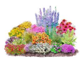 Bcm Beetpflanze Set 4 Jahreszeiten Online Kaufen Otto Blumenbeet Gestalten Beetpflanzen Balkon Pflanzen