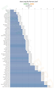 How Long Do Parrots Live 64 Parrot Lifespan Ages Examined
