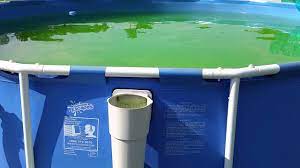 How to clean a green above ground pool fast. How To Fix A Green Swimming Pool Youtube