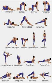 4 Strength Balance Yoga Balance Poses Basic Yoga Poses Basic Yoga