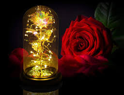 Are rose bears made with real roses? The 10 Best Forever Roses Flowers For Valentine S Day 2021 Spy