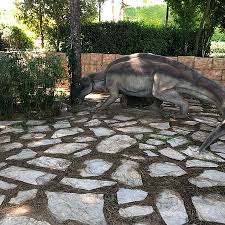At regal pet resort, we deliver the royal treatment your pet deserves; Photo8 Jpg Picture Of Maxx Royal Belek Golf Resort Tripadvisor
