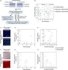 Phd student working on epigenetics and stem cells and with a big interest in bioinformatics. Senescence Associated Dna Methylation Is Stochastically Acquired In Subpopulations Of Mesenchymal Stem Cells Franzen 2017 Aging Cell Wiley Online Library