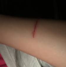 Kollari Jiletli Kiz Sayfa 3 Uludag Sozluk