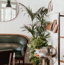 Put some water into the bottle and then add some drops of oil. House Cleansing A Checklist For Clearing Bad Energy From Your Home