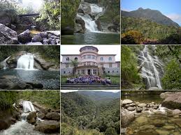 It was last collected in 1976 despite extensive searches, suggesting this species may now be extinct. Ingressos 2021b Parque Nacional Do Itatiaia