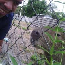 Discover and share the best gifs on tenor. Ludovico Barrios On Twitter Felicidades Ojala Y Pudieras Hacer Eso Por Todos Los Ninos En Situacion De Calle Buenas Noches