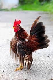 Pin On There S A Farm In My Future