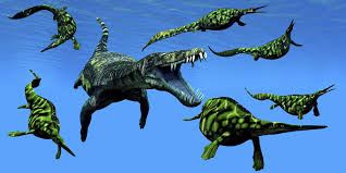 Image result for Nothosaurus