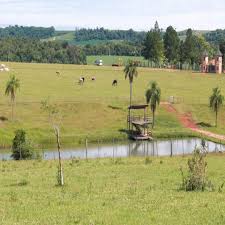 paraguay immobilie 500 hektar farm zu verkaufen kaufe estancia paraguay obligado itapua farm estancia immobilie forsale