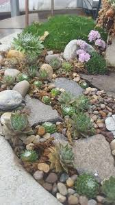 Decoomo Trends Home Decoration Ideas Succulent Landscape Design Landscaping With Rocks Rock Garden Landscaping