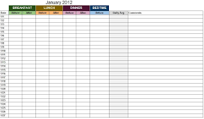 blood sugar test log sheet kozen jasonkellyphoto co