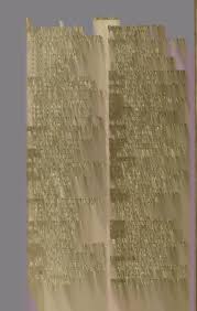 Image result for Bergia pentheriana