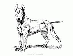 German shepherd coloring pages color bros in page gambarmewarnai. German Shepherd Dog Coloring Pages Coloring Home