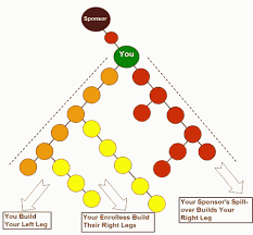Once you do this you will now be a ruby coach and you can now earn $16 from each team cycle bonus. Beachbody Coach Compensation Plan Get The Truth