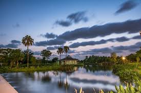 古坑鄉 青山坪咖啡農場 台灣26大風景區推薦 scenery taiwan travel outdoor