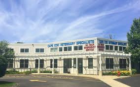 Emergencies rarely seem to happen during 'normal business hours.'. 24 7 Emergency Veterinary Care Cape Cod Veterinary Specialists