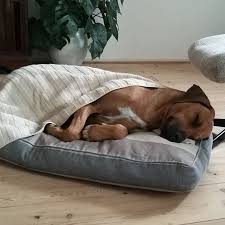 Caminha Para Cachorro Grande Passo A Passo Pin Em Cama Madruga